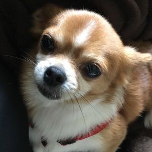 Meet your Posher, Rica